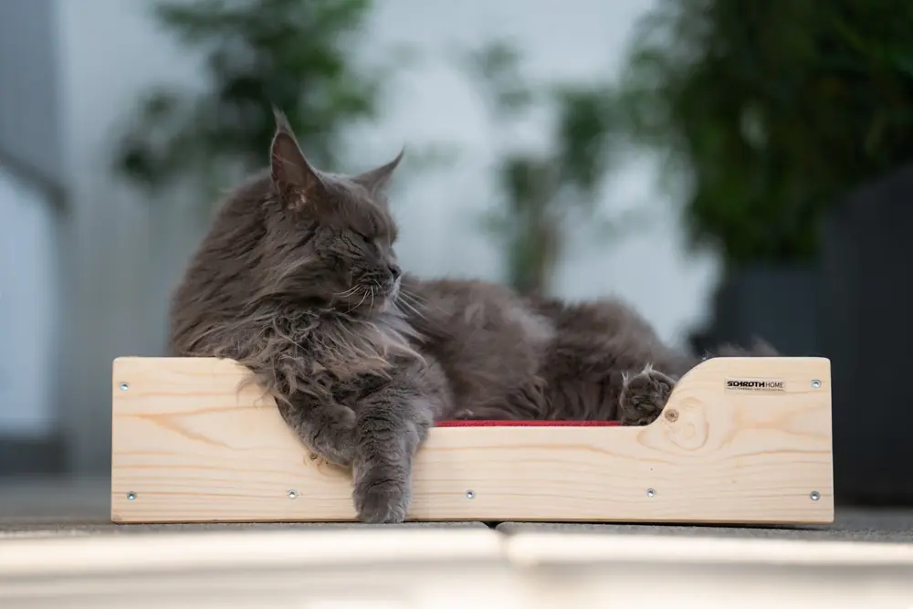 Hunde-/Katzenbett PALDog/PALCat Mini aus Palettenholz