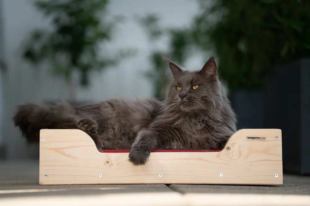 Hunde-/Katzenbett PALDog/PALCat Mini aus Palettenholz