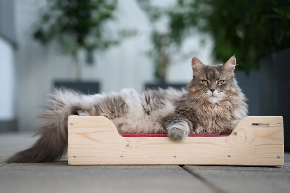 Hunde-/Katzenbett PALDog/PALCat Mini aus Palettenholz