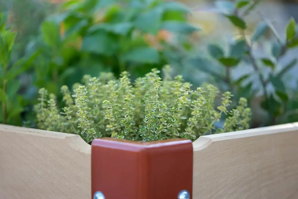 Hochbeet Rahmen klein - Typ 0